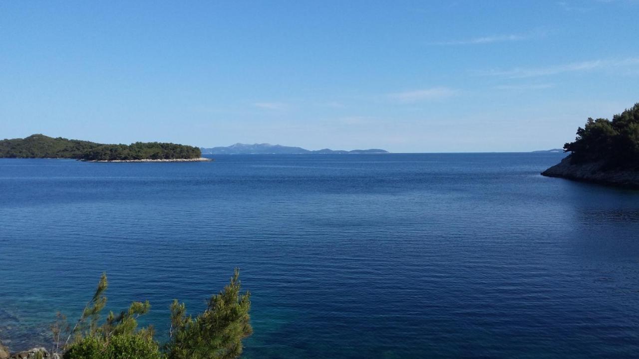 Apartments By The Sea Cove Zaglav, Korcula - 12208 ปริซบา ภายนอก รูปภาพ